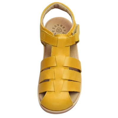 Pretty Brave Rocco leather sandals for toddlers overhead view